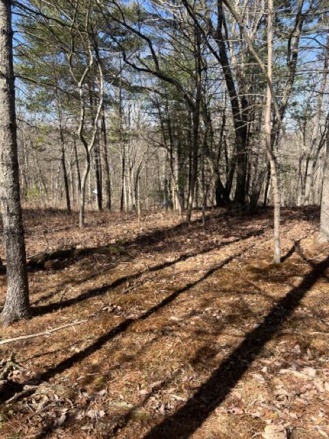 357 Sawmill Road Stroudsburg, PA 18360 - Photo 22 of 24 IMG_1402 Medium