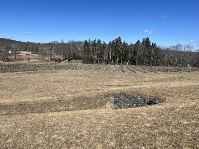 357 Sawmill Road Stroudsburg, PA 18360 - Photo 24 of 24 winery field