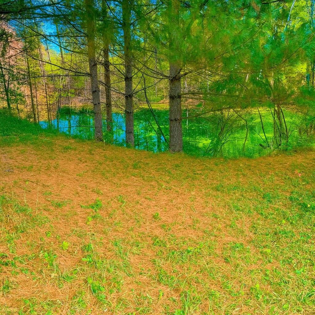 2670 Bass Lake Road Lupton, MI 48635 - Photo 40 of 48