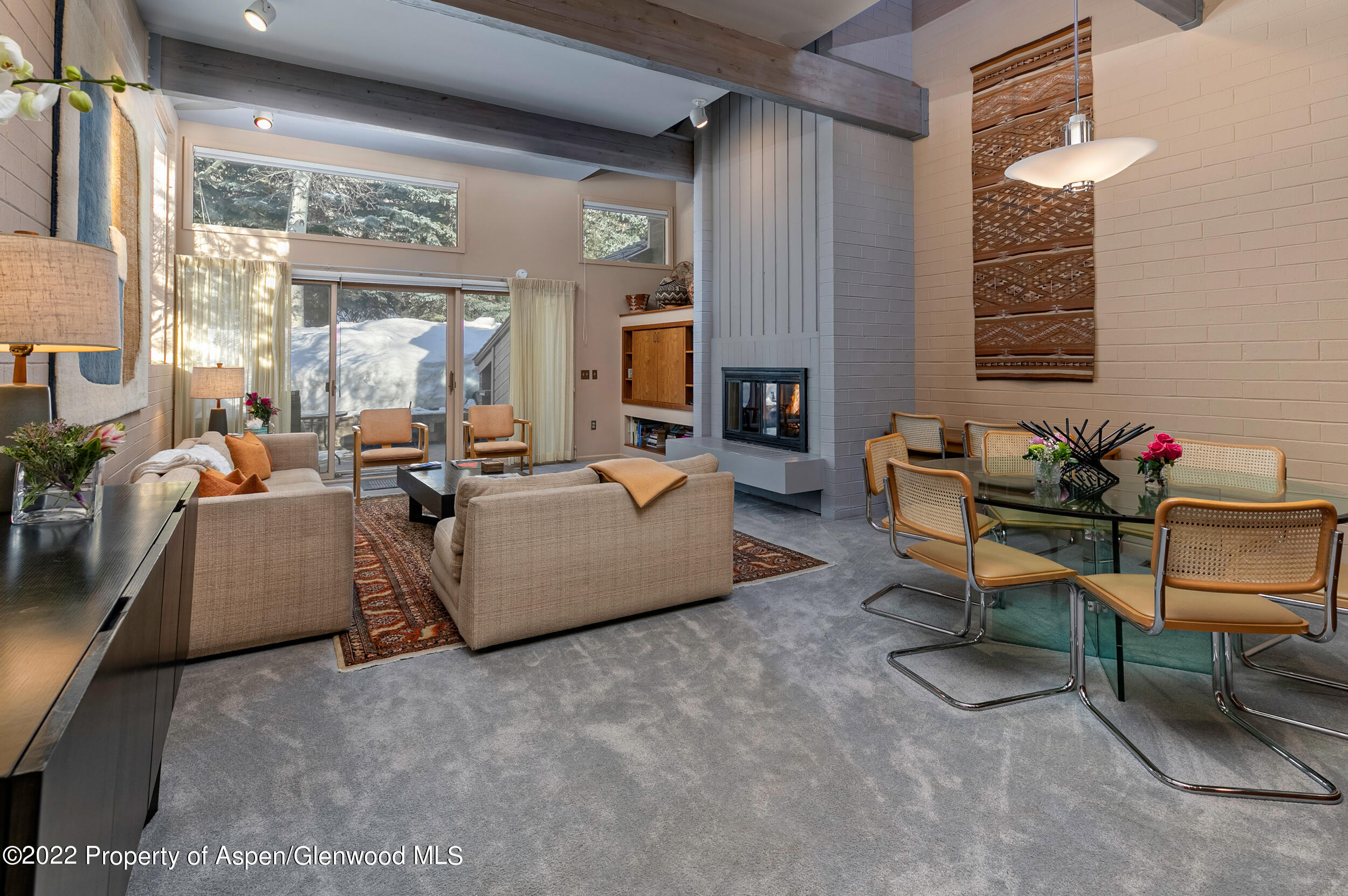 625 South W End Street, Unit 15 Aspen, CO 81611 - Photo 3 of 14 a living room with furniture and a potted plant