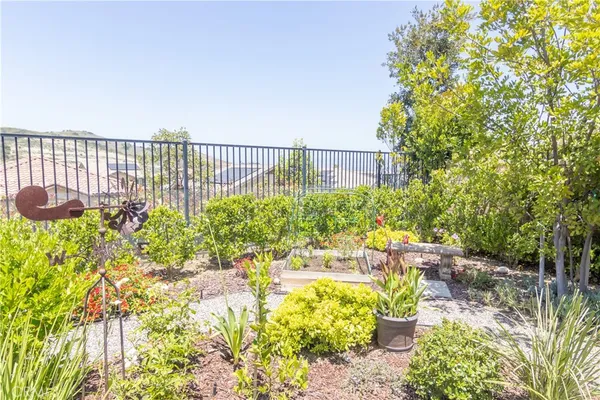a view of a garden with plants