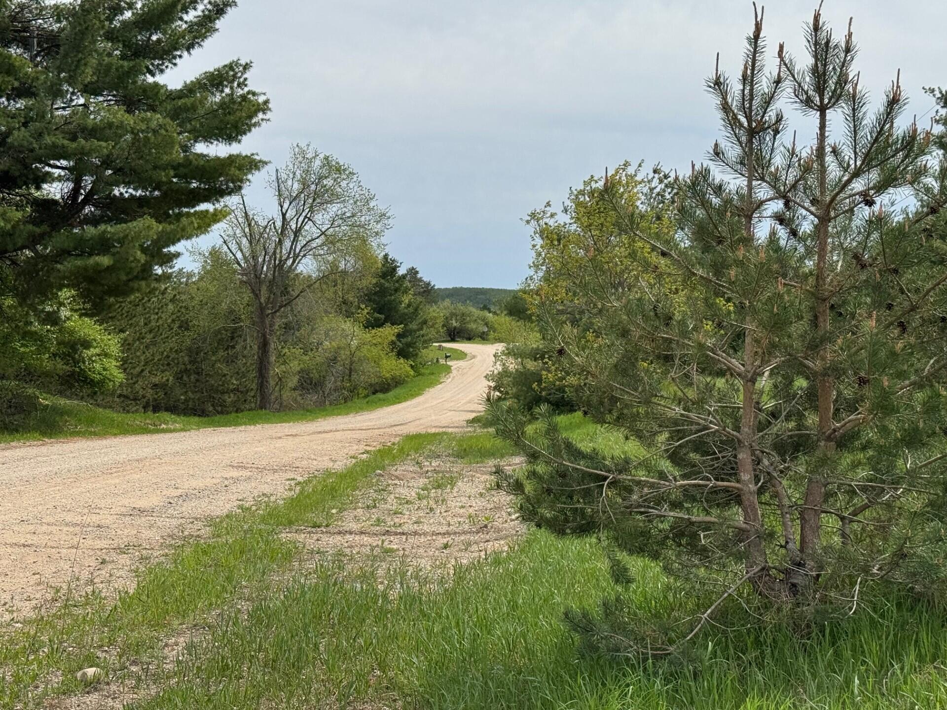 Nichols Road Pellston, MI 49769 - Photo 7 of 32