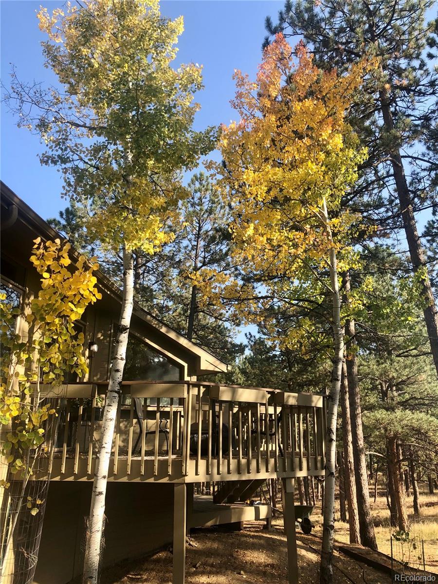 2420 Juniper Court Golden, CO 80401 - Photo 34 of 48