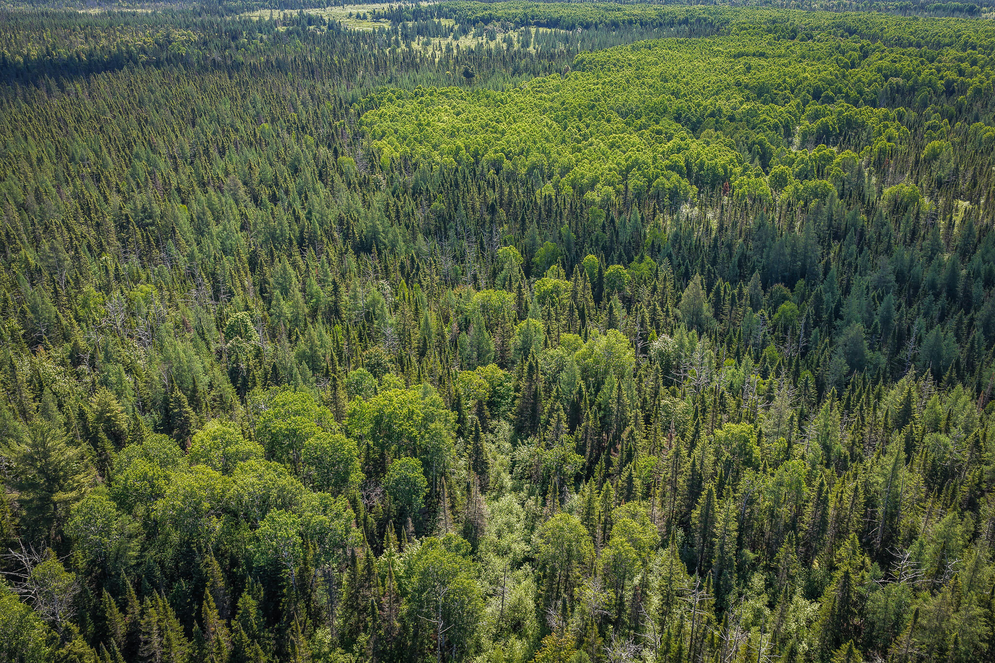 South North Hulbert Road Eckerman, MI 49728 - Photo 16 of 29 DJI_20260623030947_0020_D
