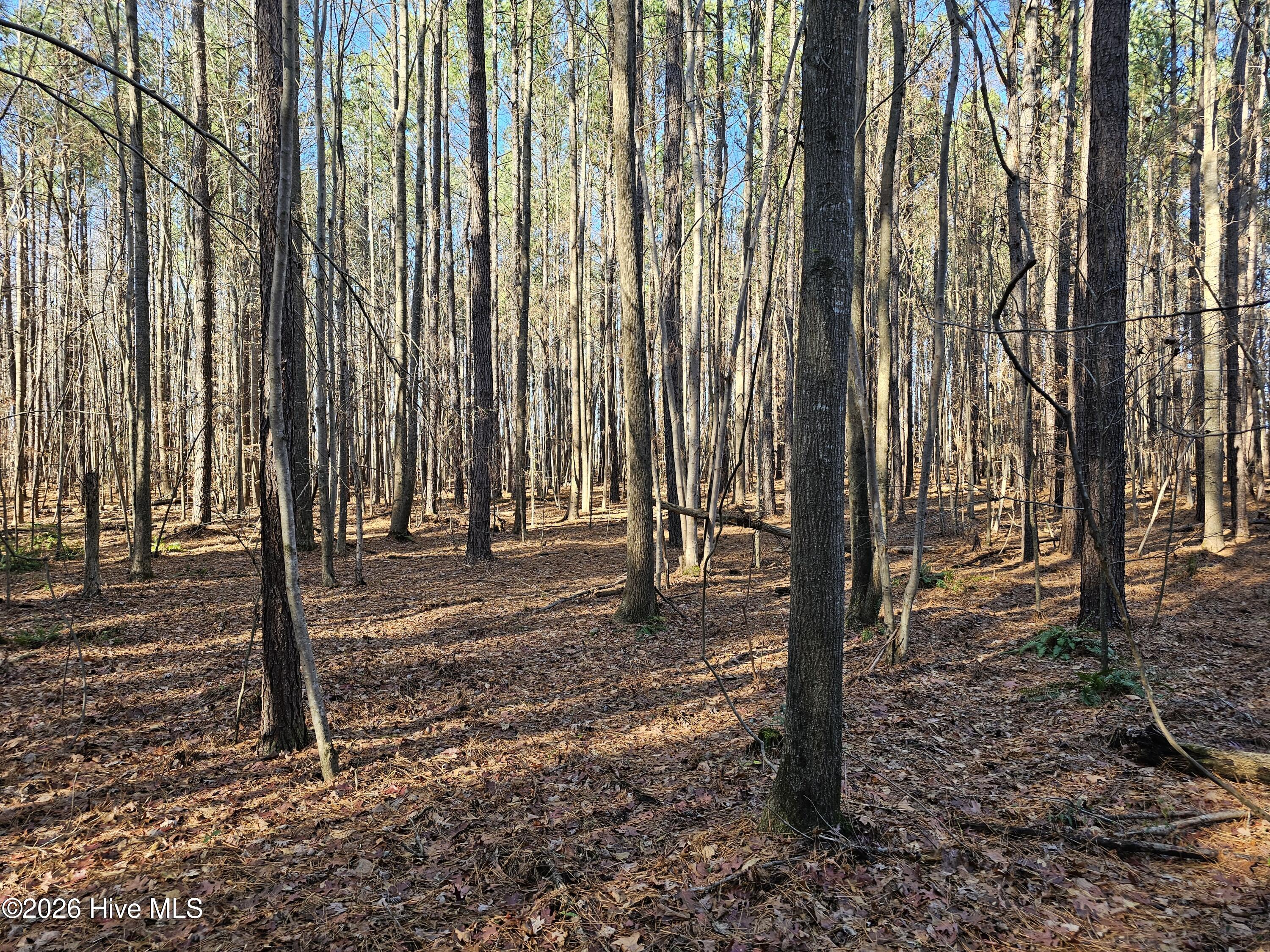 0 Sykes Road Nashville, NC 27856 - Photo 29 of 69 SR MLS 29