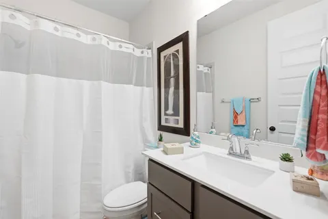 a bathroom with a sink a toilet and shower curtain