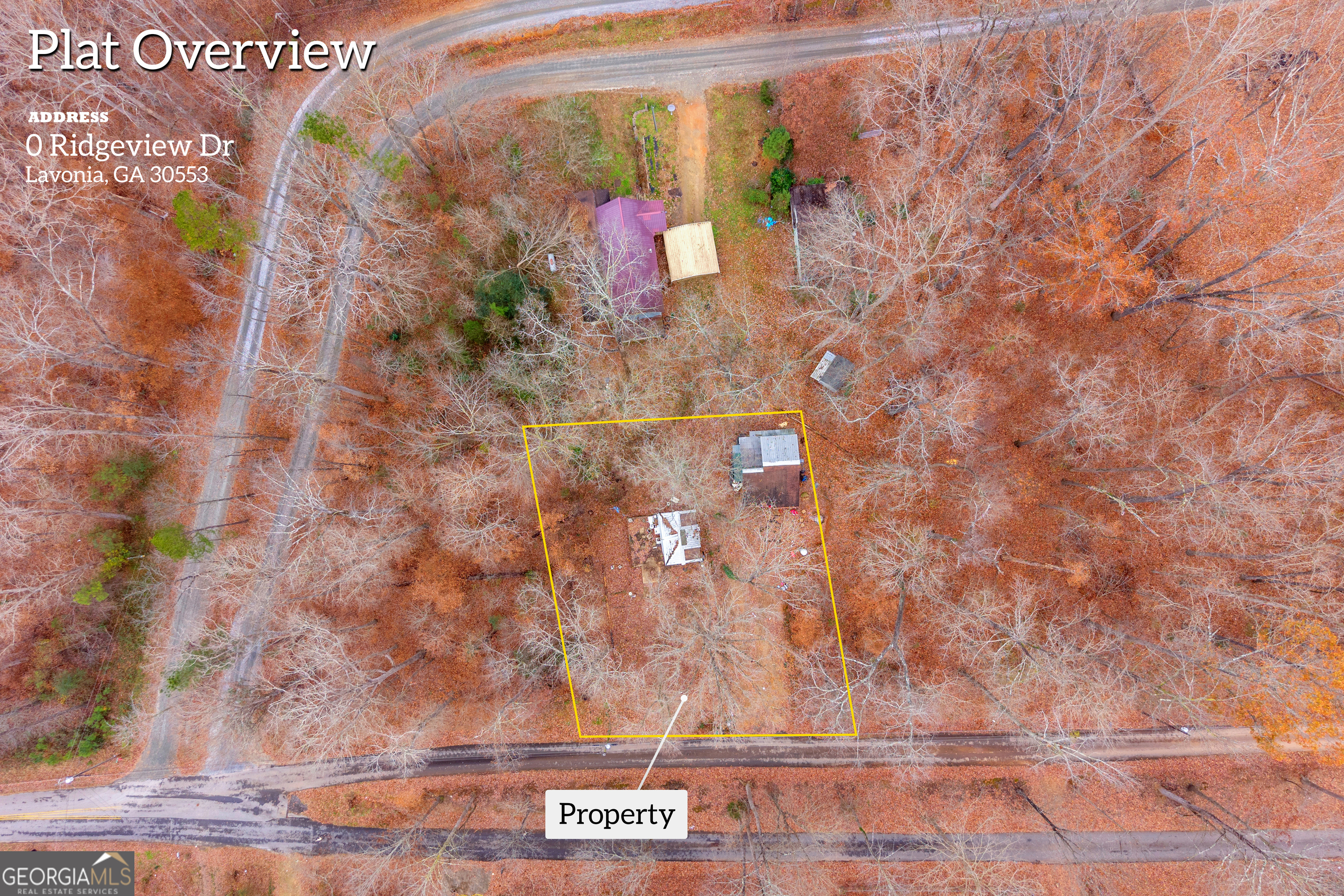 317 Ridgeview Drive Lavonia, GA 30553 - Photo 3 of 14