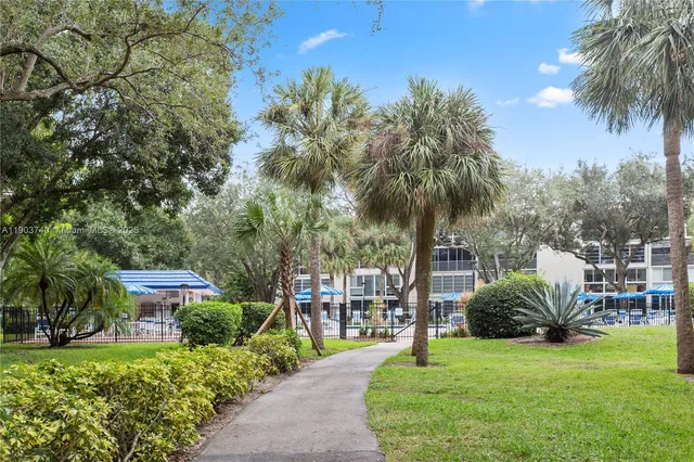 a house with palm tree in front of it