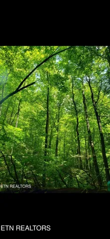 $249,000 | Watson Branch Lane, Speedwell, TN 37870