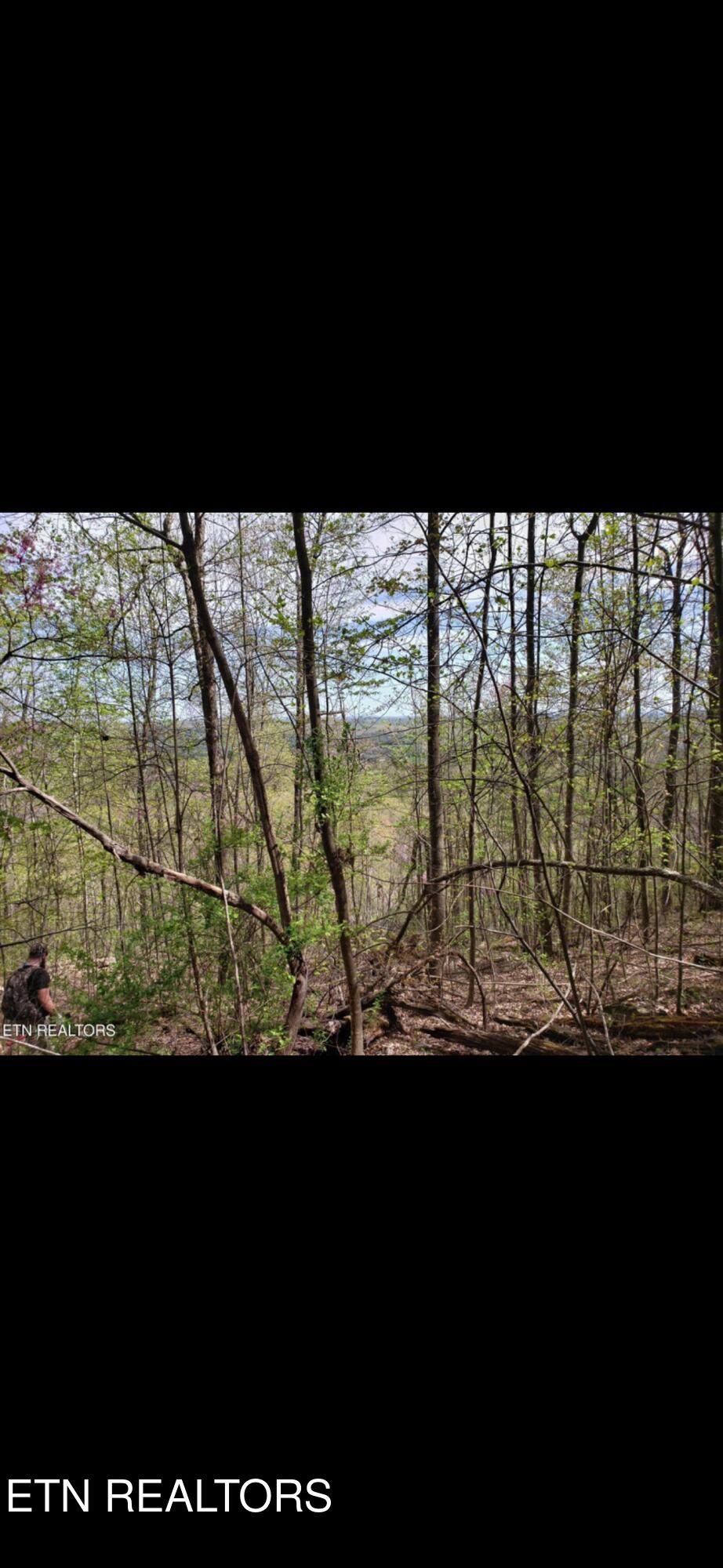 Watson Hollow Road Speedwell, TN 37870 - Photo 2 of 6 IMG_6668