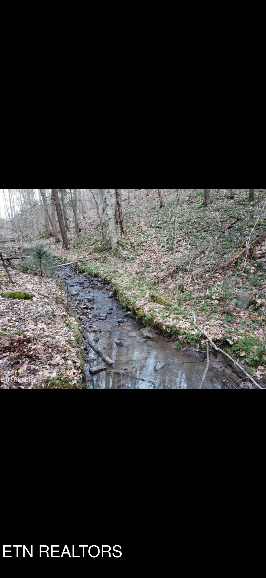 Watson Hollow Road Speedwell, TN 37870 - Photo 3 of 6 IMG_6666