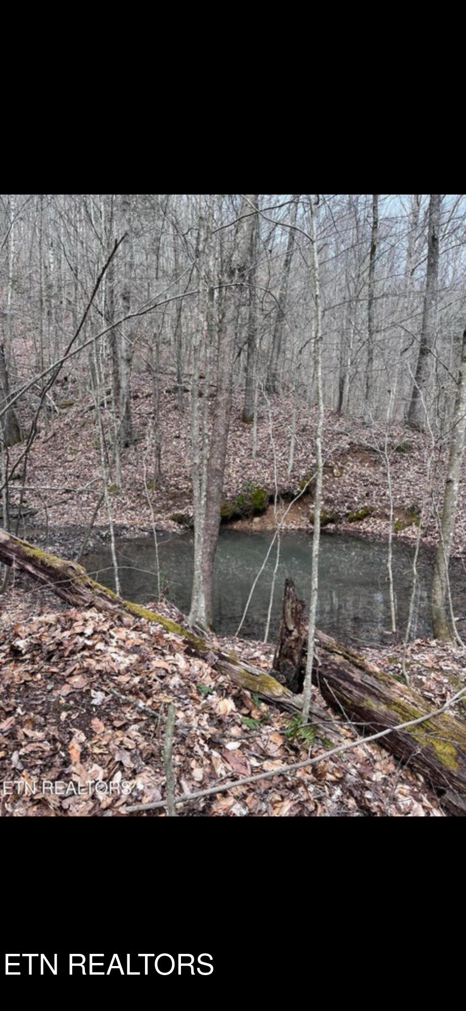 Watson Hollow Road Speedwell, TN 37870 - Photo 4 of 6 IMG_6671