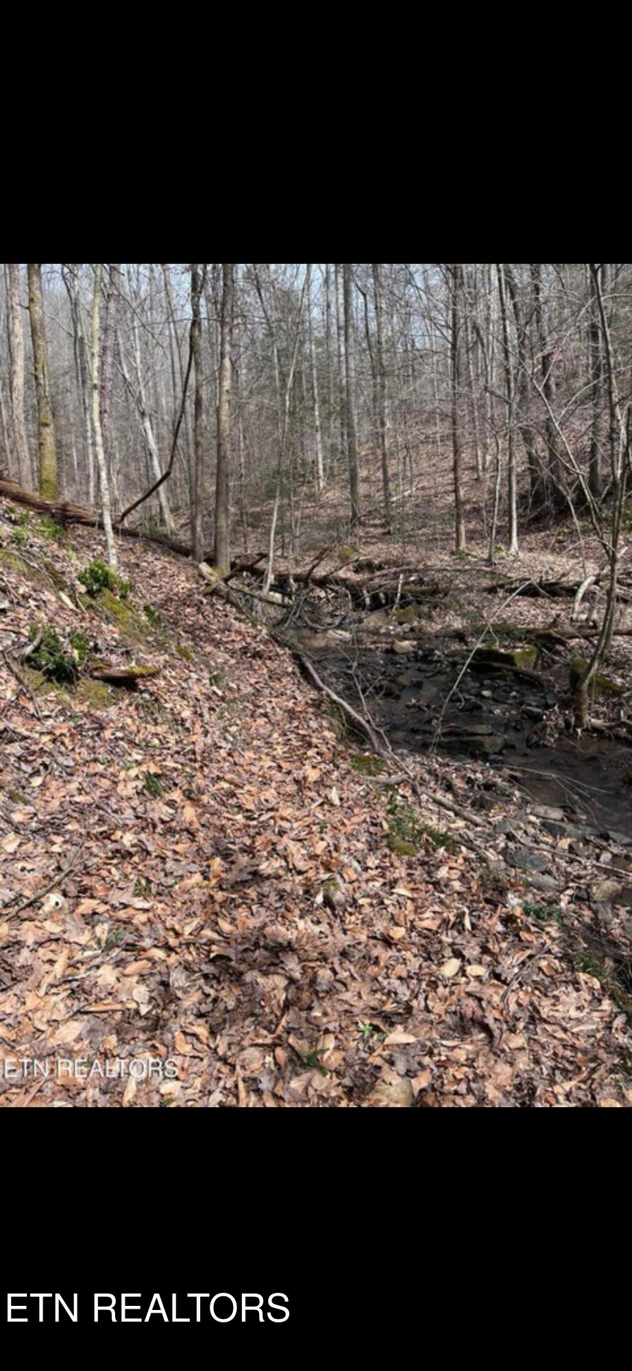 Watson Hollow Road Speedwell, TN 37870 - Photo 5 of 6 IMG_6669