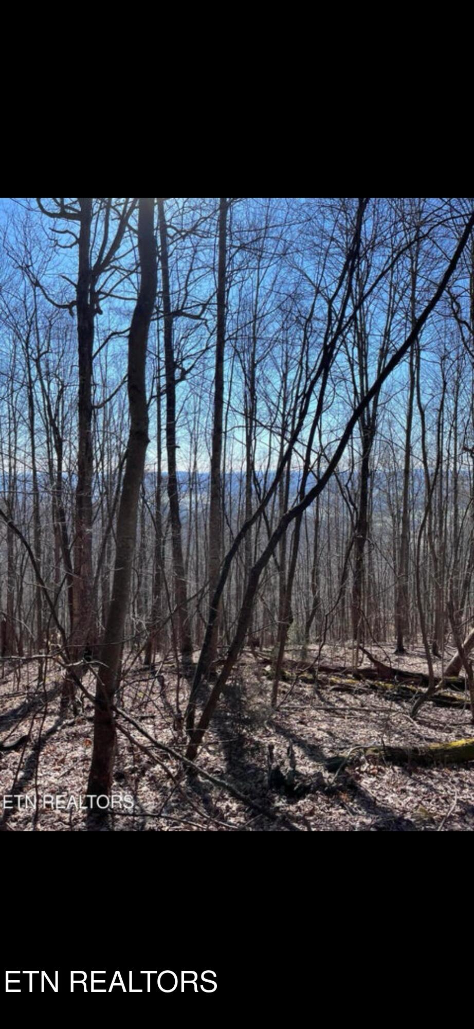 Watson Hollow Road Speedwell, TN 37870 - Photo 6 of 6 IMG_6670