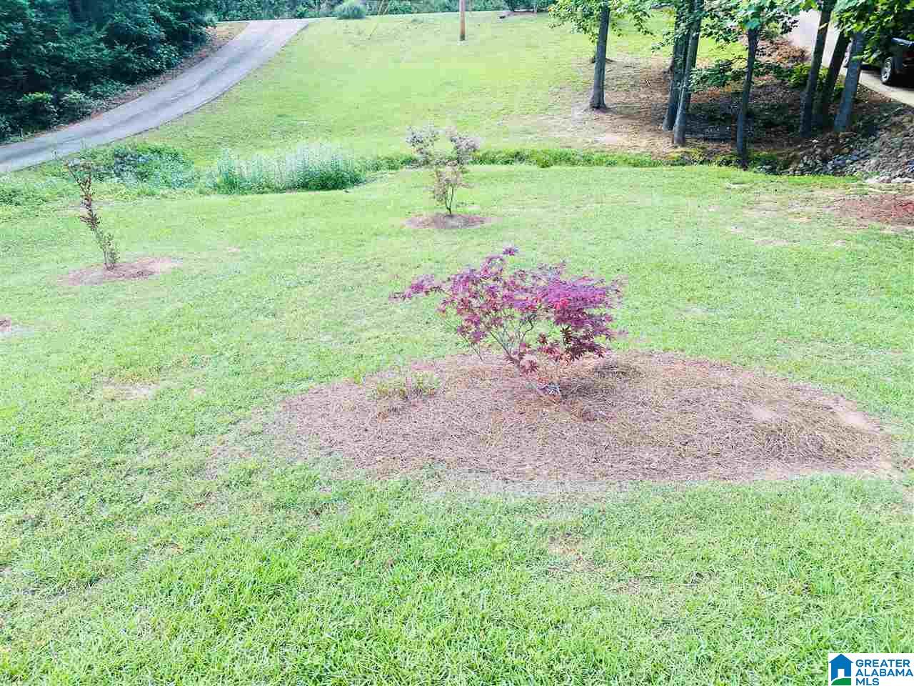 2720 Mt View Road Hayden, AL 35079 - Photo 24 of 28