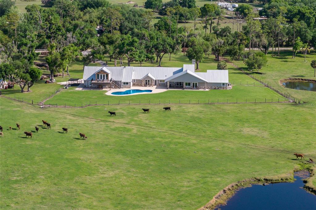 30854 Singletary Road Myakka City, FL 34251 - Photo 9 of 68