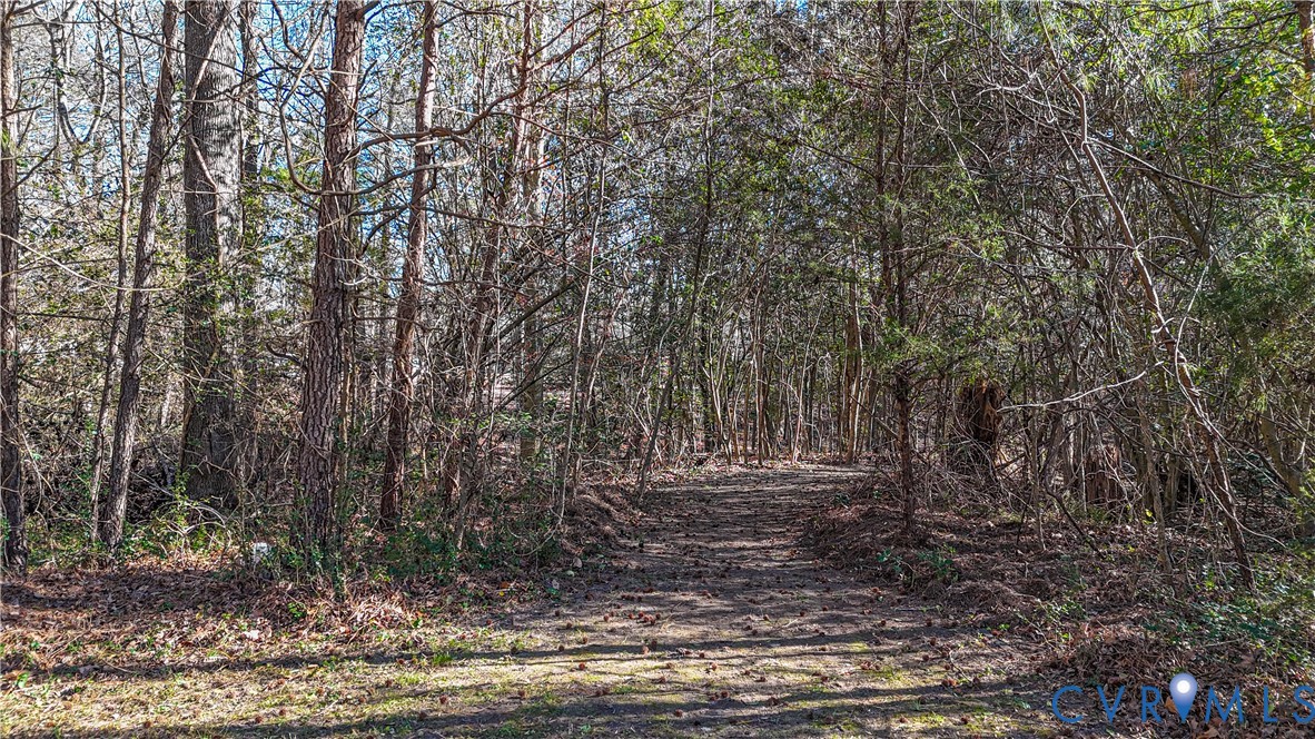113 Red Dirt Road Williamsburg, VA 23188 - Photo 39 of 41 a view of outdoor space with trees