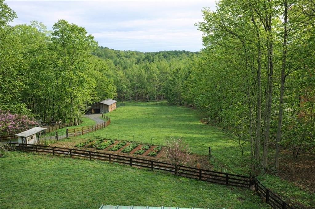 2865 Hightower Road Ball Ground, GA 30107 - Photo 3 of 41 a view of a field with a yard