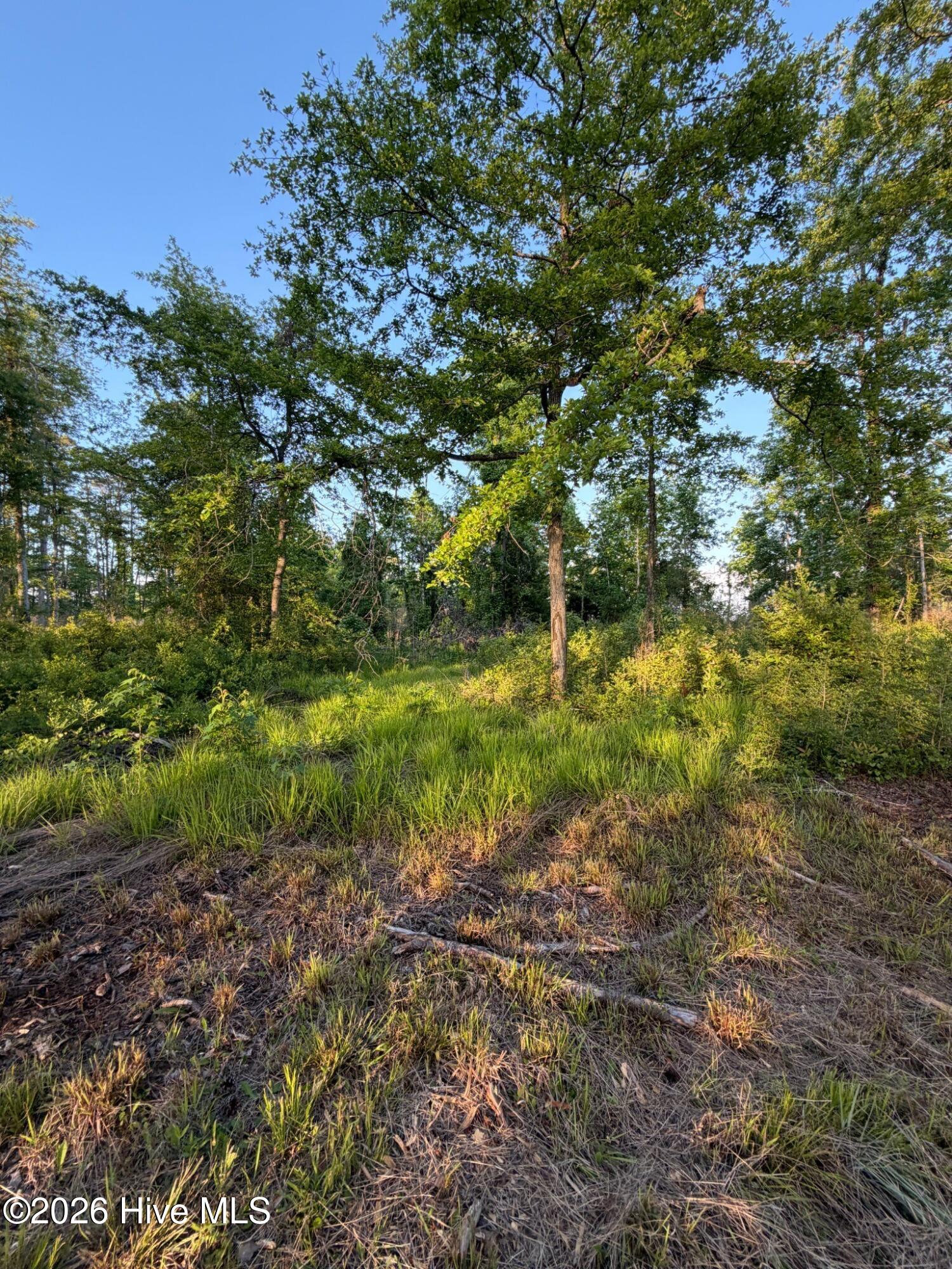 705 Russells Creek Road Beaufort, NC 28516 - Photo 32 of 36
