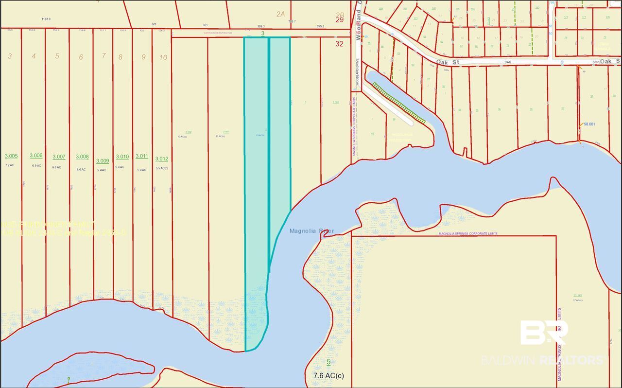0 Burton Drive Foley, AL 36535 - Photo 4 of 6