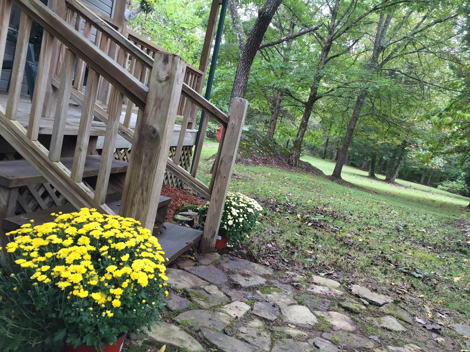 0 Hopewell Road Dunlap, TN 37327 - Photo 7 of 27 Hopewell Rd staircase