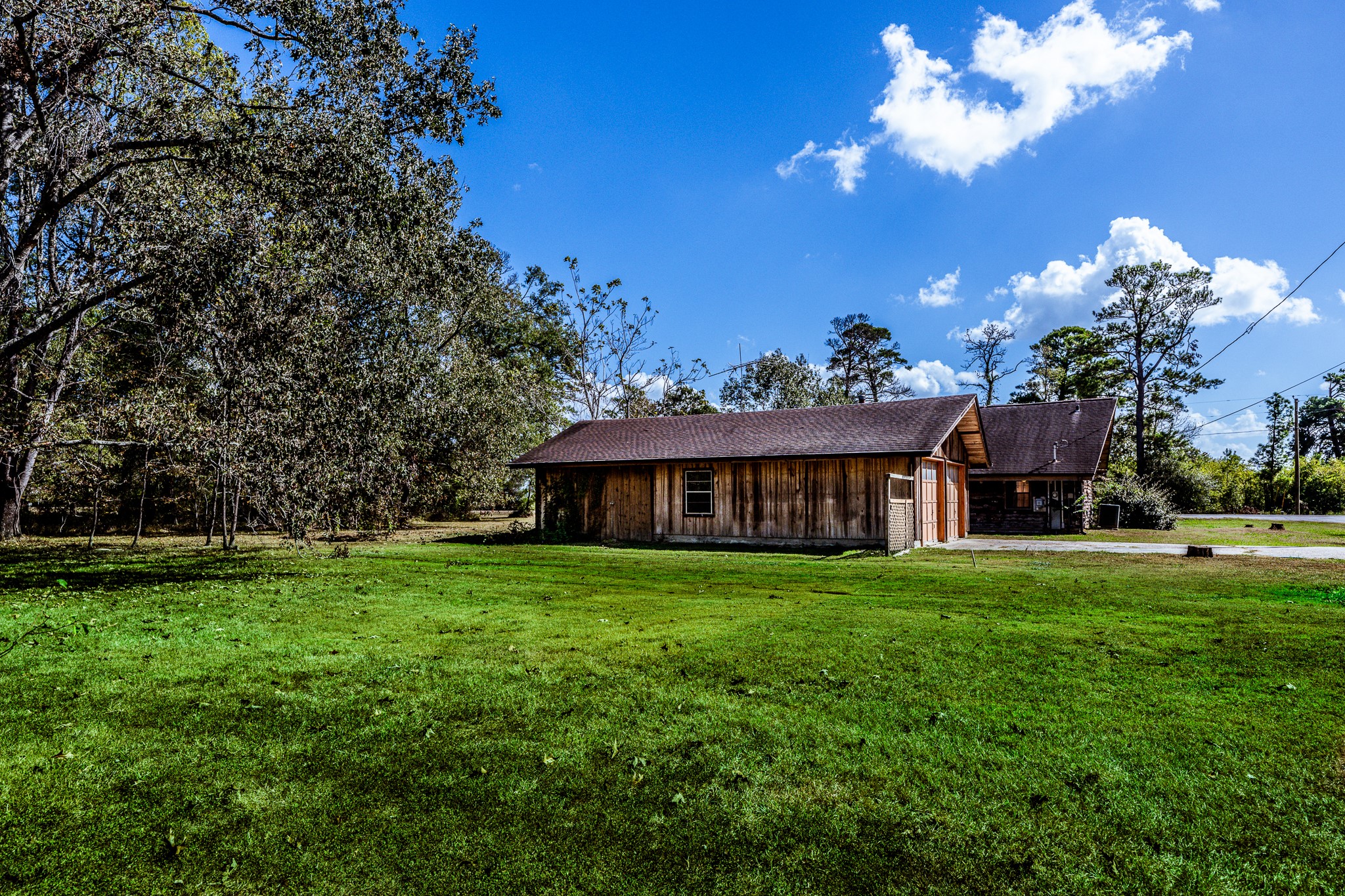 800 Farm To Market 980 Point Blank, TX 77364 - Photo 40 of 43