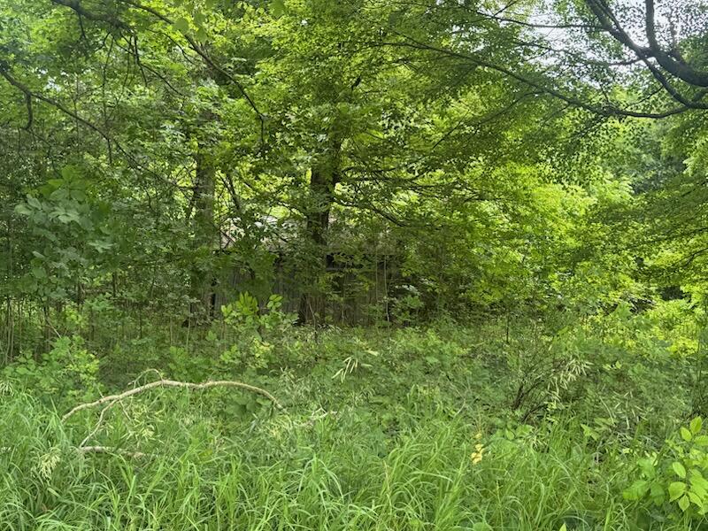 18905 Sycamore Road Mount Vernon, OH 43050 - Photo 3 of 3 Land View