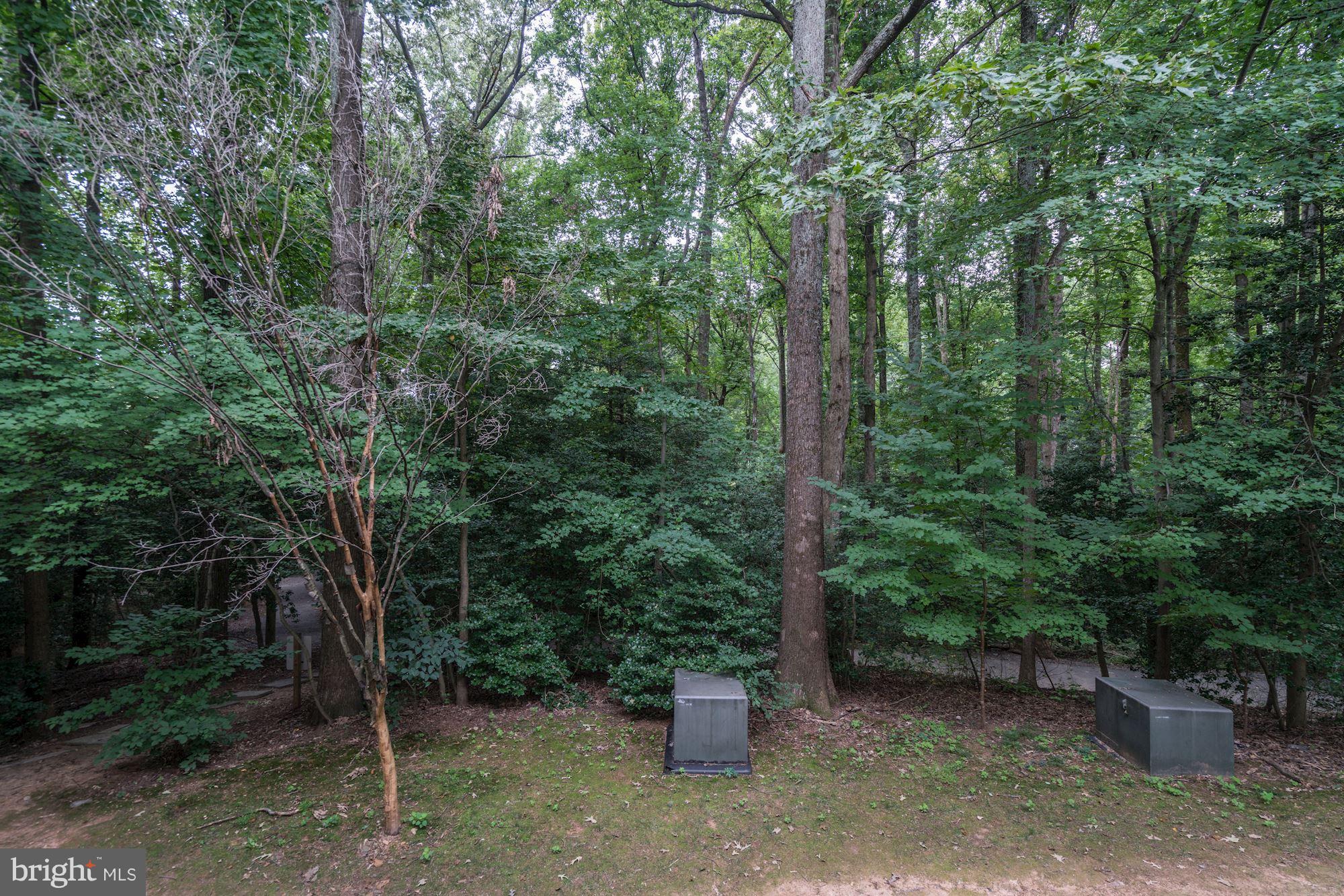 2233 Lovedale Lane, Unit 410A Reston, VA 20191 - Photo 23 of 24 View from balcony