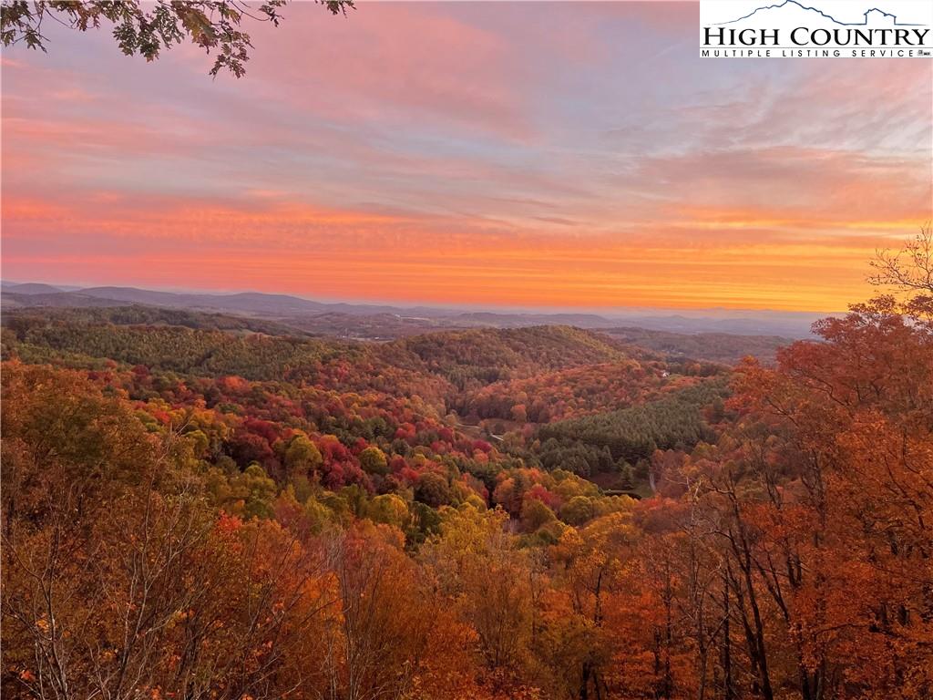 3307 Air Bellows Gap Road Sparta, NC 28675 - Photo 1 of 38 Gallery Image 1