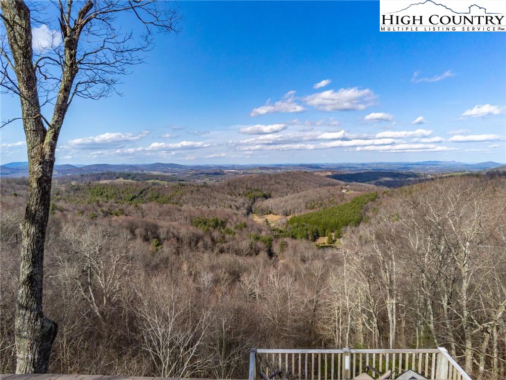 3307 Air Bellows Gap Road Sparta, NC 28675 - Photo 16 of 38 Gallery Image 16
