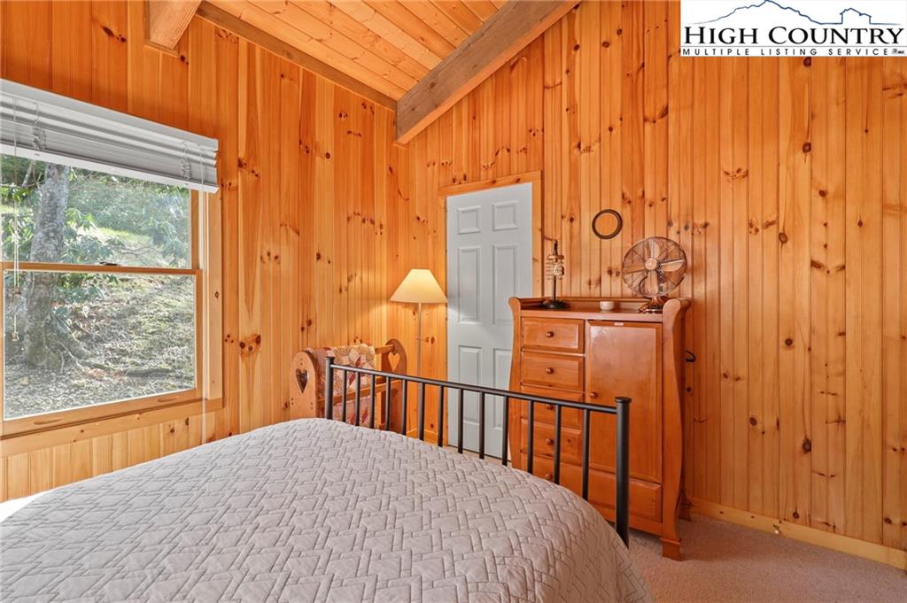 3307 Air Bellows Gap Road Sparta, NC 28675 - Photo 20 of 38 Gallery Image 20
