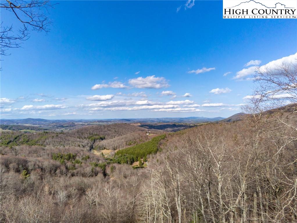 3307 Air Bellows Gap Road Sparta, NC 28675 - Photo 3 of 38 Gallery Image 3
