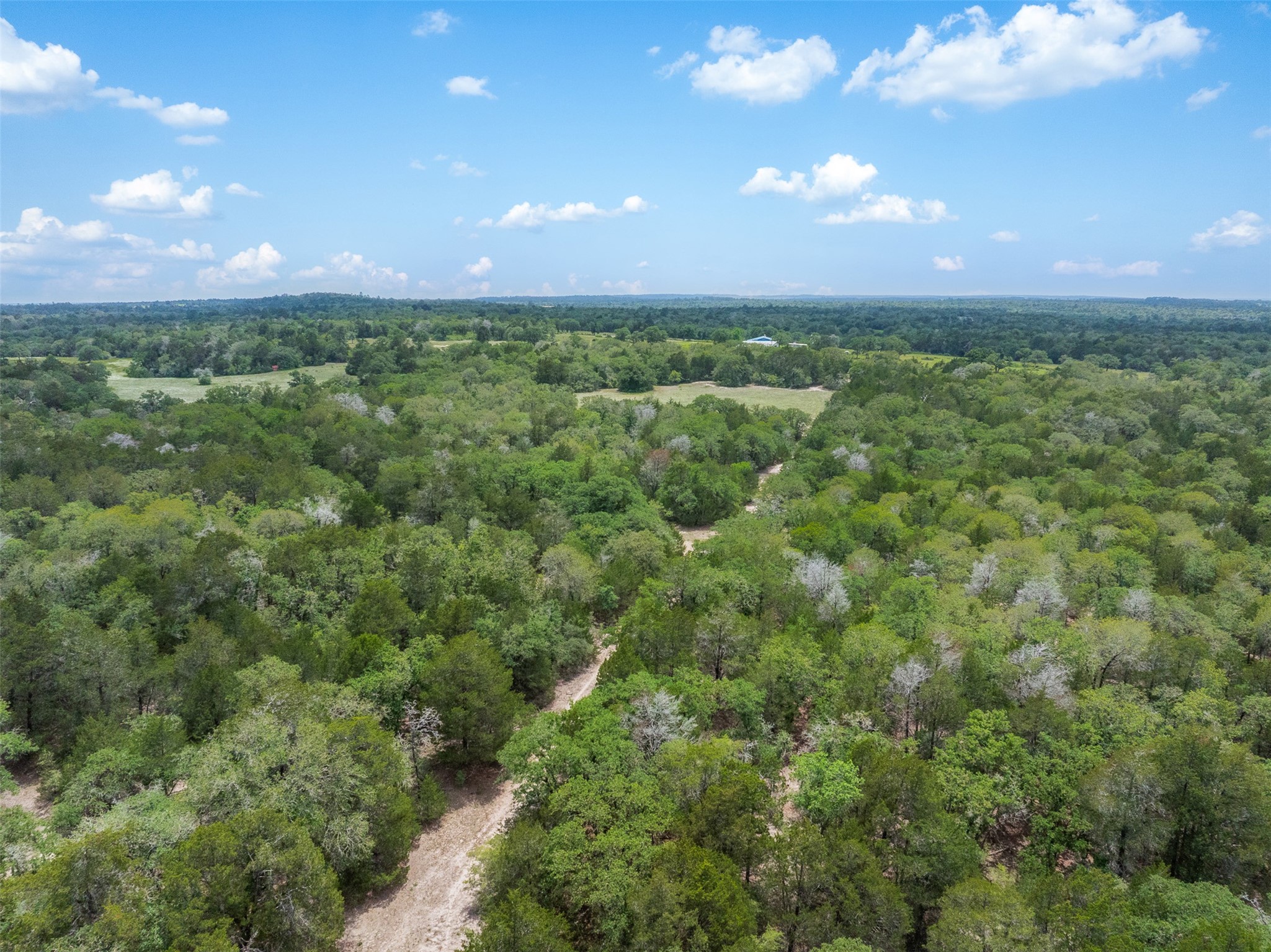 622 Red Rock Ranch Road Red Rock, TX 78662 - Photo 41 of 46 a view of a green field with lots of trees in it