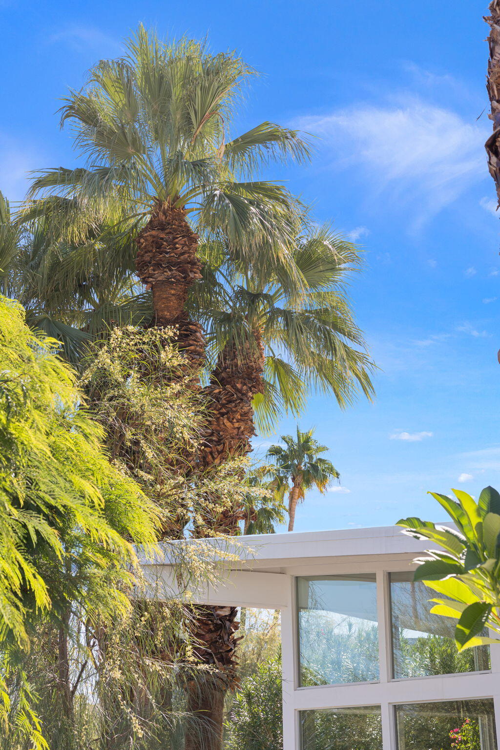 71653 Mirage Road Rancho Mirage, CA 92270 - Photo 37 of 64 55-web-or-mls-8M4A7473