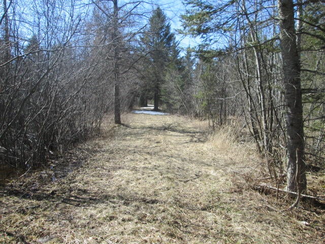 Carter Road Hillman, MI 49746 - Photo 1 of 13 Gallery Image 1
