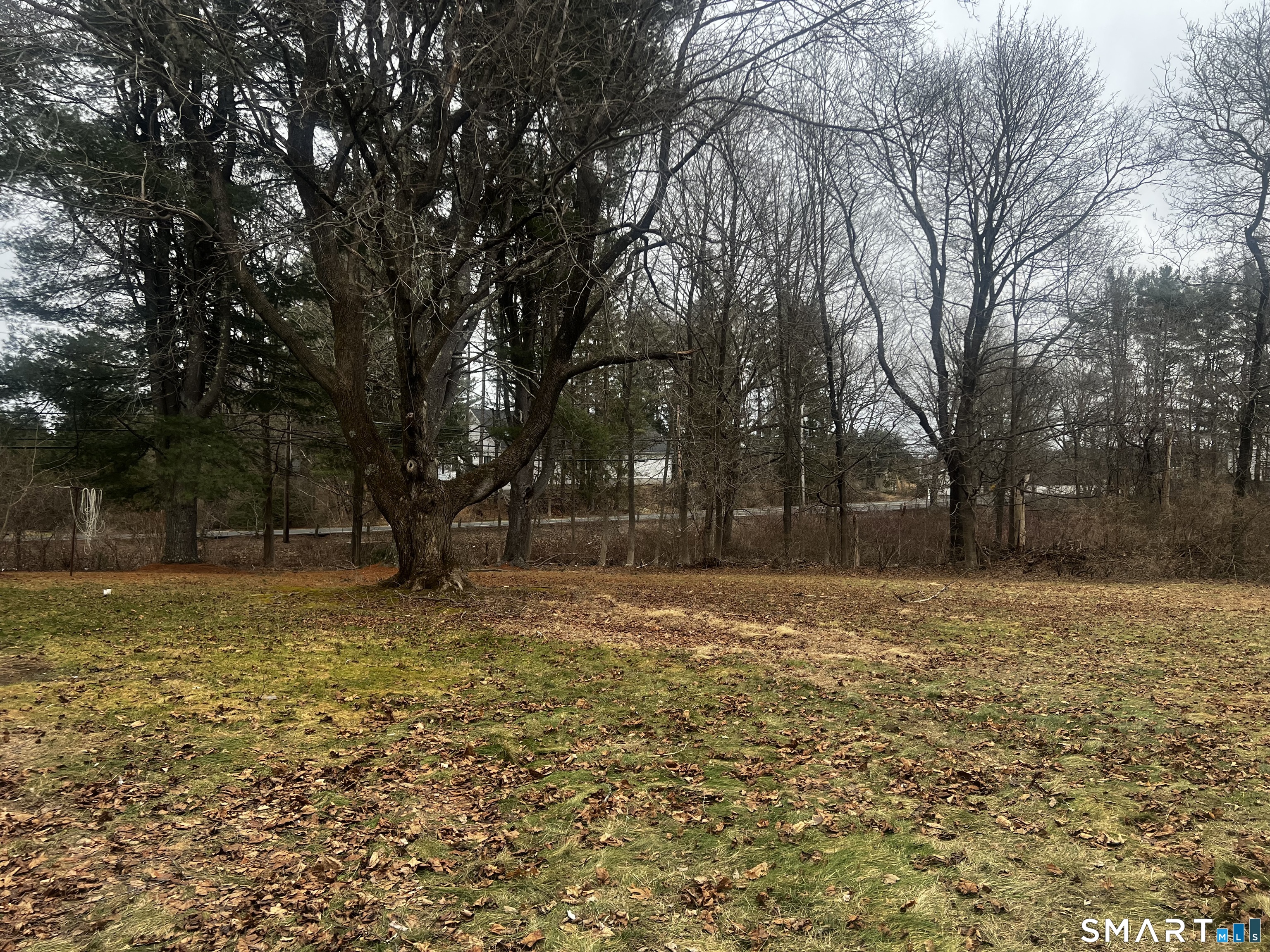 5 Haynes Road Avon, CT 06001 - Photo 32 of 36