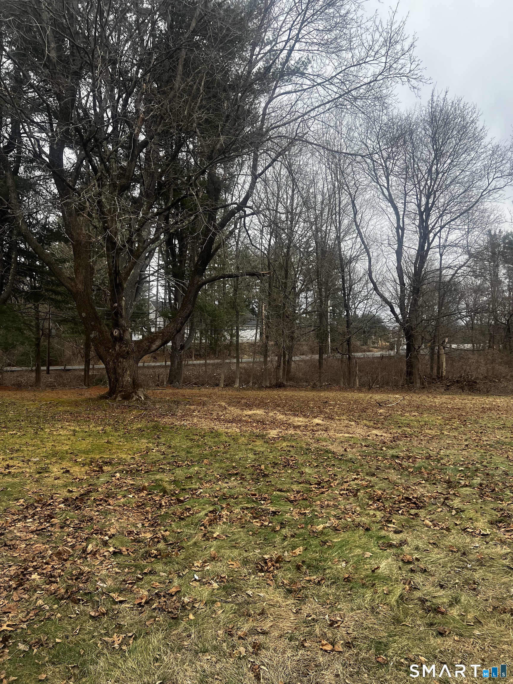 5 Haynes Road Avon, CT 06001 - Photo 33 of 36