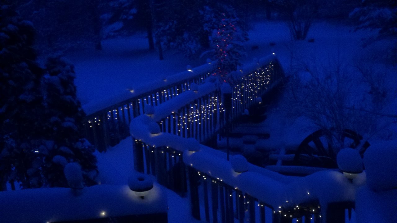 3925 East 8 Road Manton, MI 49663 - Photo 93 of 96 1869366-92.JPG