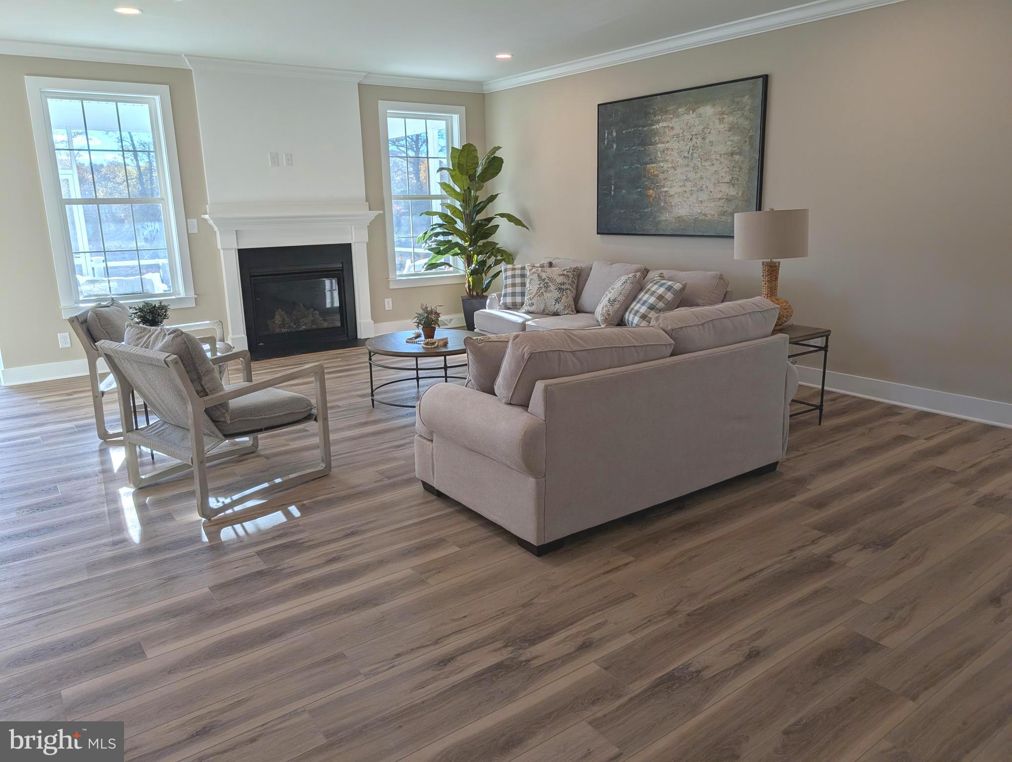 22012 Antlered Way Georgetown, DE 19947 - Photo 3 of 58 a living room with furniture and a fireplace