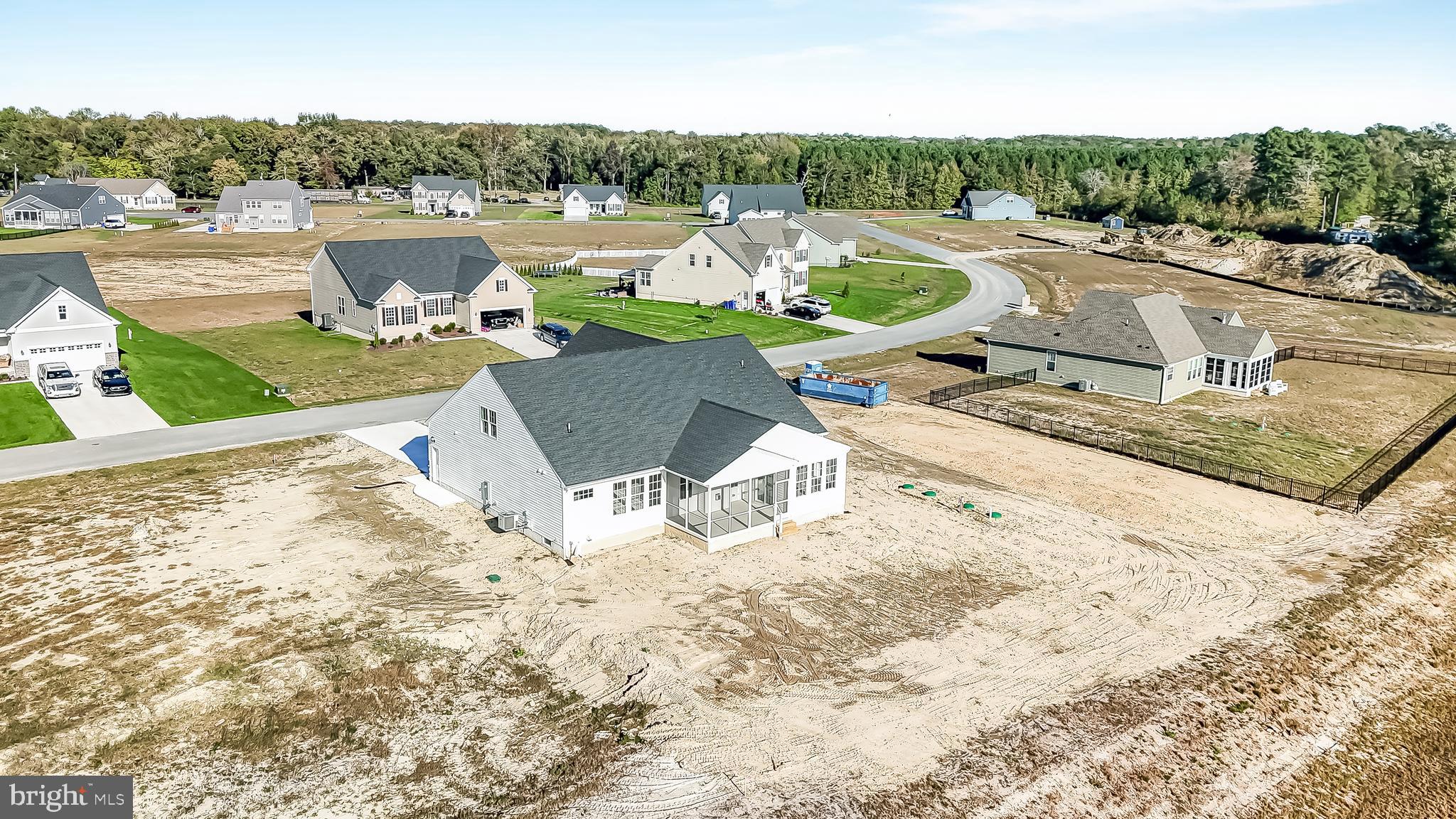 22012 Antlered Way Georgetown, DE 19947 - Photo 52 of 58 a view of a swimming pool with a patio