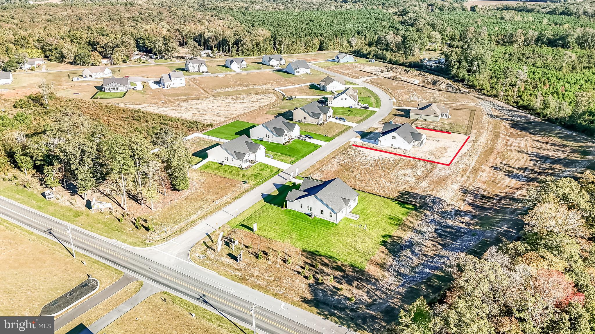 22012 Antlered Way Georgetown, DE 19947 - Photo 56 of 58 a view of a swimming pool with a yard