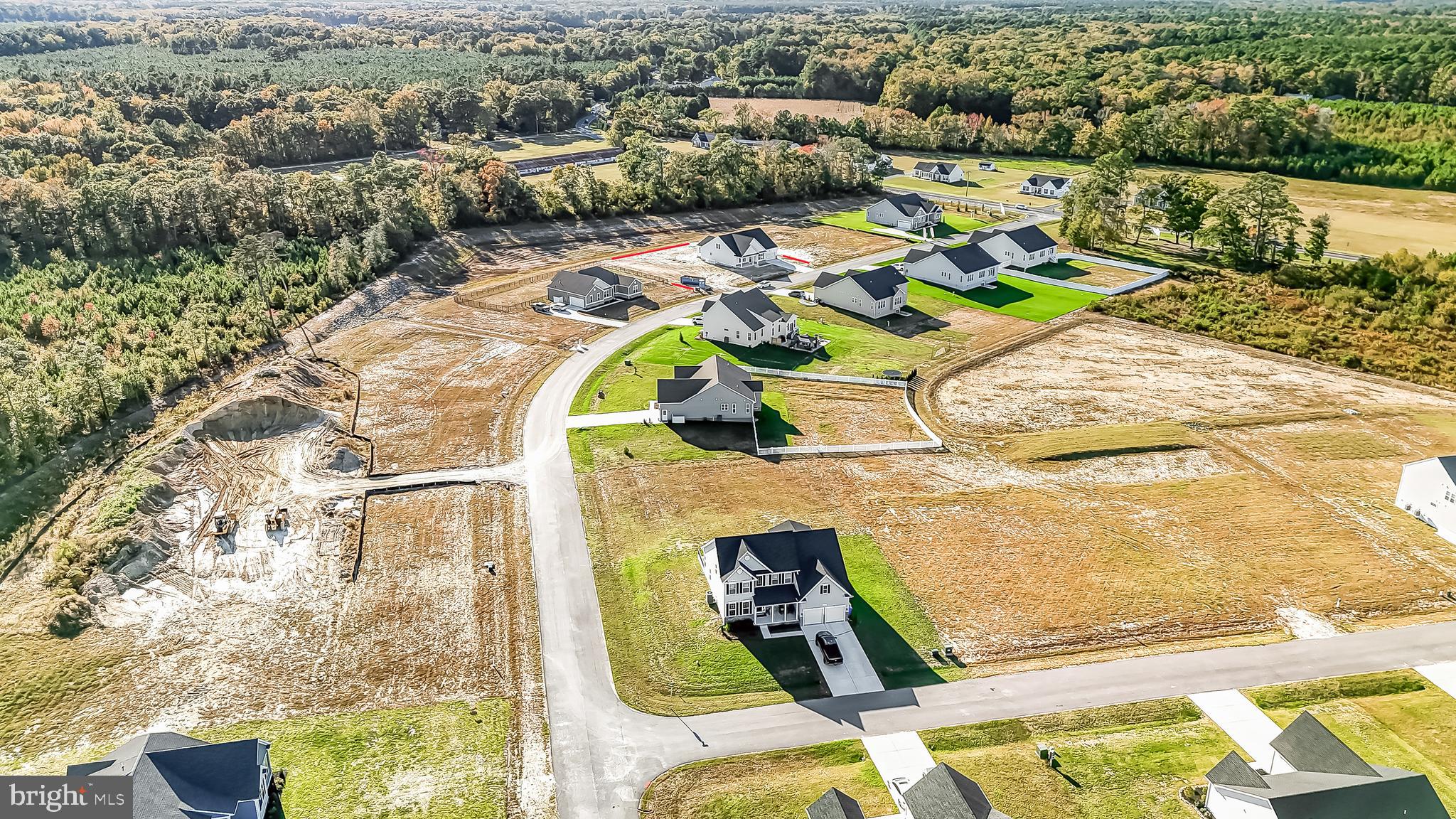 22012 Antlered Way Georgetown, DE 19947 - Photo 57 of 58 a view of swimming pool with a patio