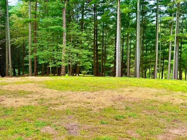 a swimming pool with trees in the background