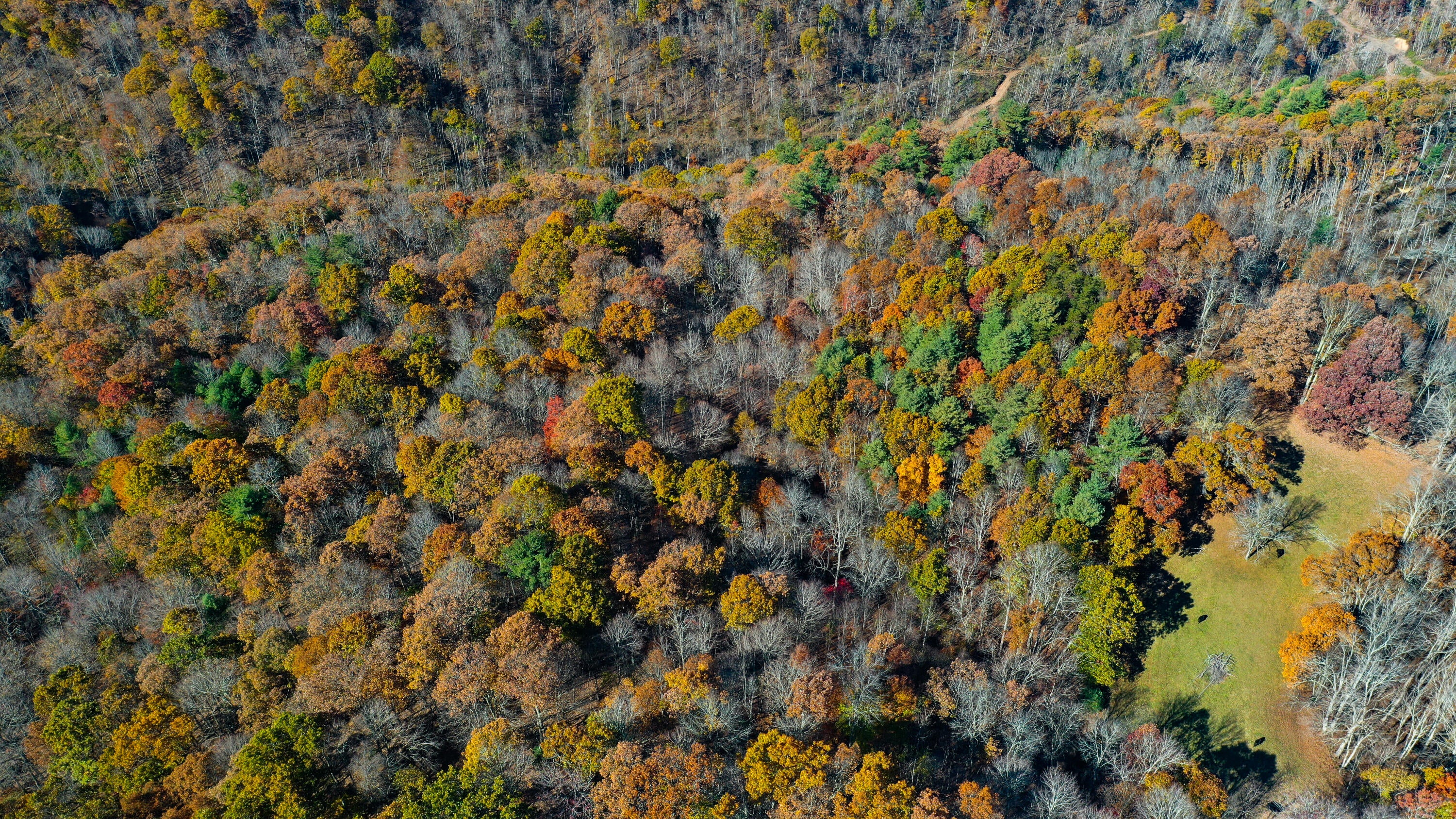 1528 Low Gap Church Road Hinton, WV 25951 - Photo 21 of 52 Gallery Image 21