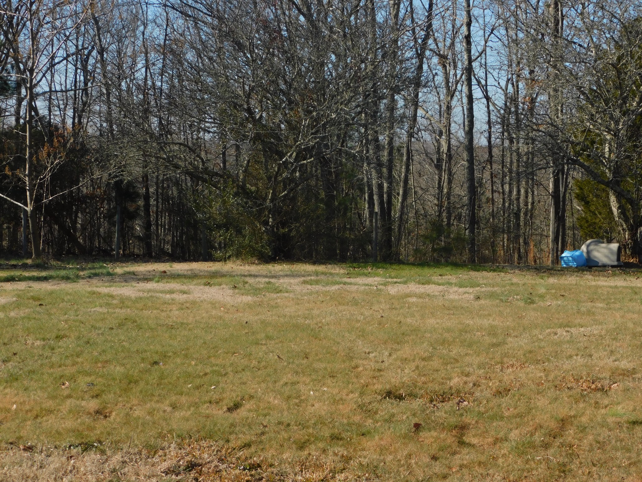 1941 Clydeton Road Waverly, TN 37185 - Photo 17 of 43 Gallery Image 17
