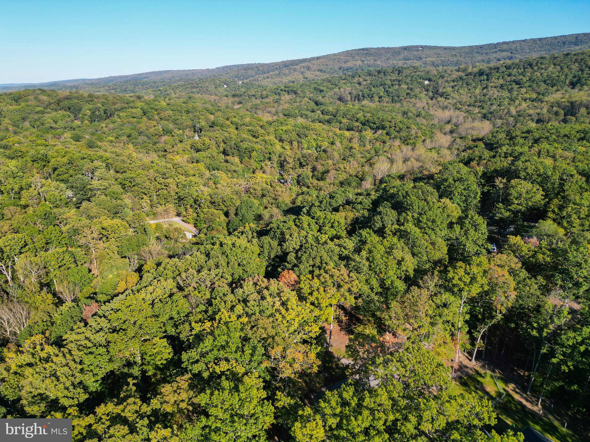 458 Hobbs Knob Road Front Royal, VA 22630 - Photo 11 of 94