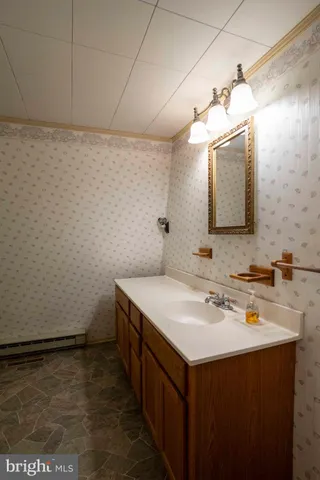 a view of a park with trees and grass