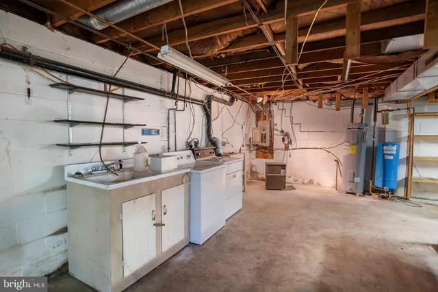 a view of a park with large trees