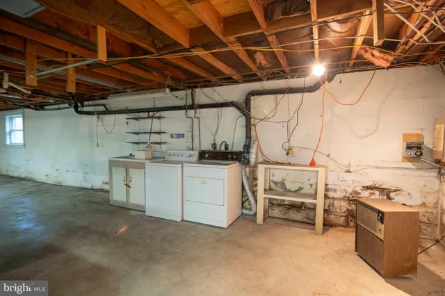 a view of a trees in a yard