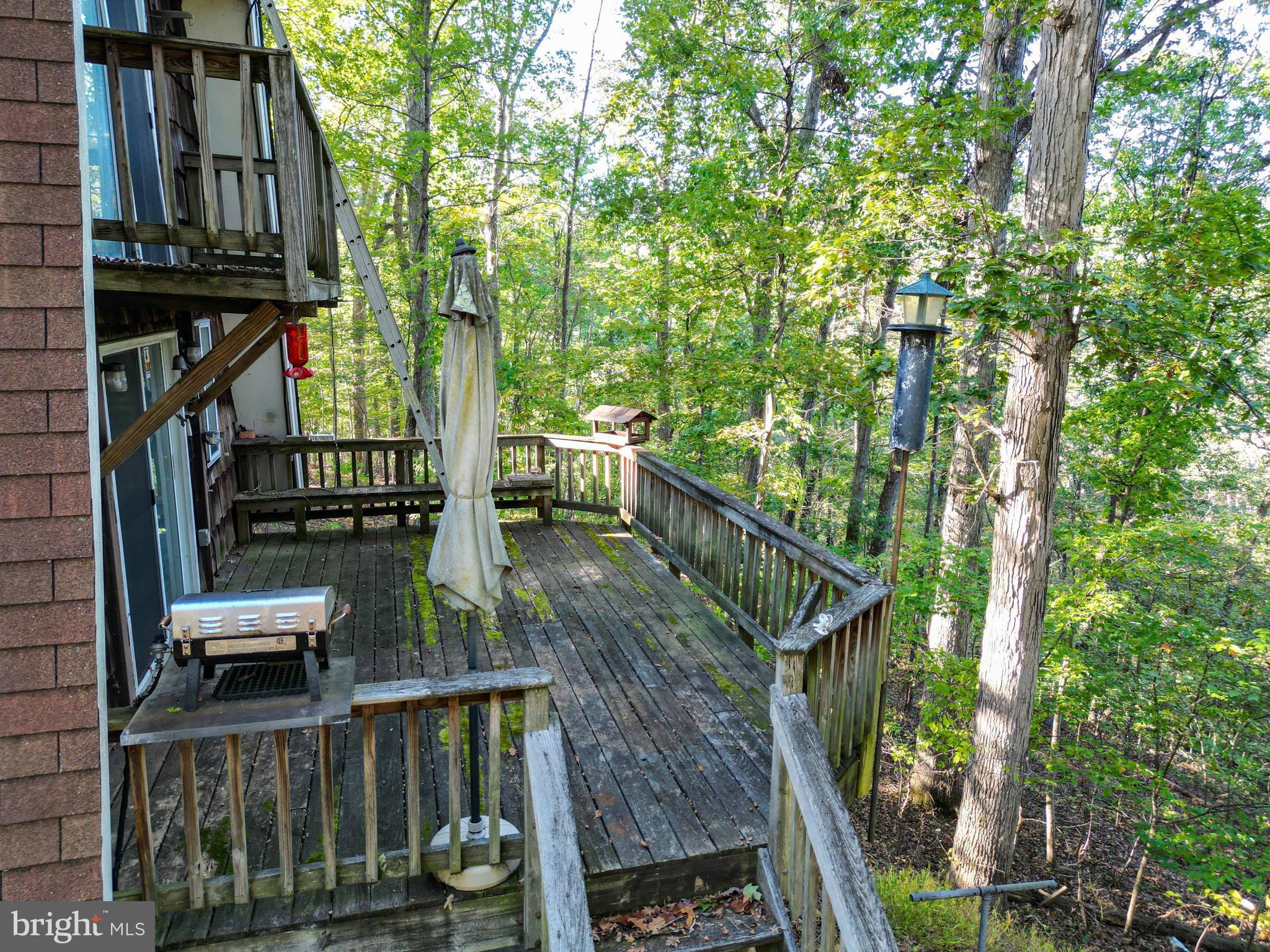 458 Hobbs Knob Road Front Royal, VA 22630 - Photo 6 of 94